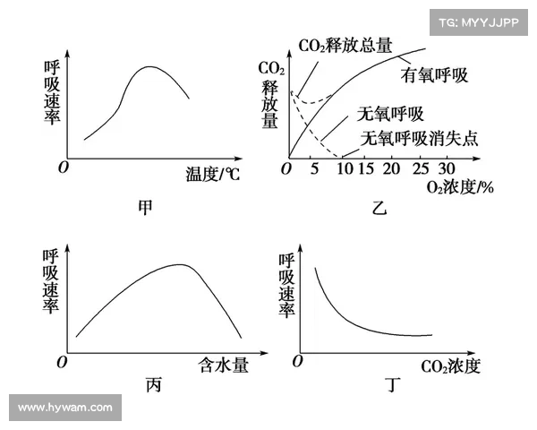 如何科学评估澳洲杯比赛水平及其影响因素分析