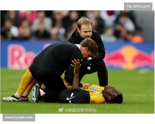 探寻维尔贝克黑贝称号历史渊源与多重文化象征意义全景深度解析